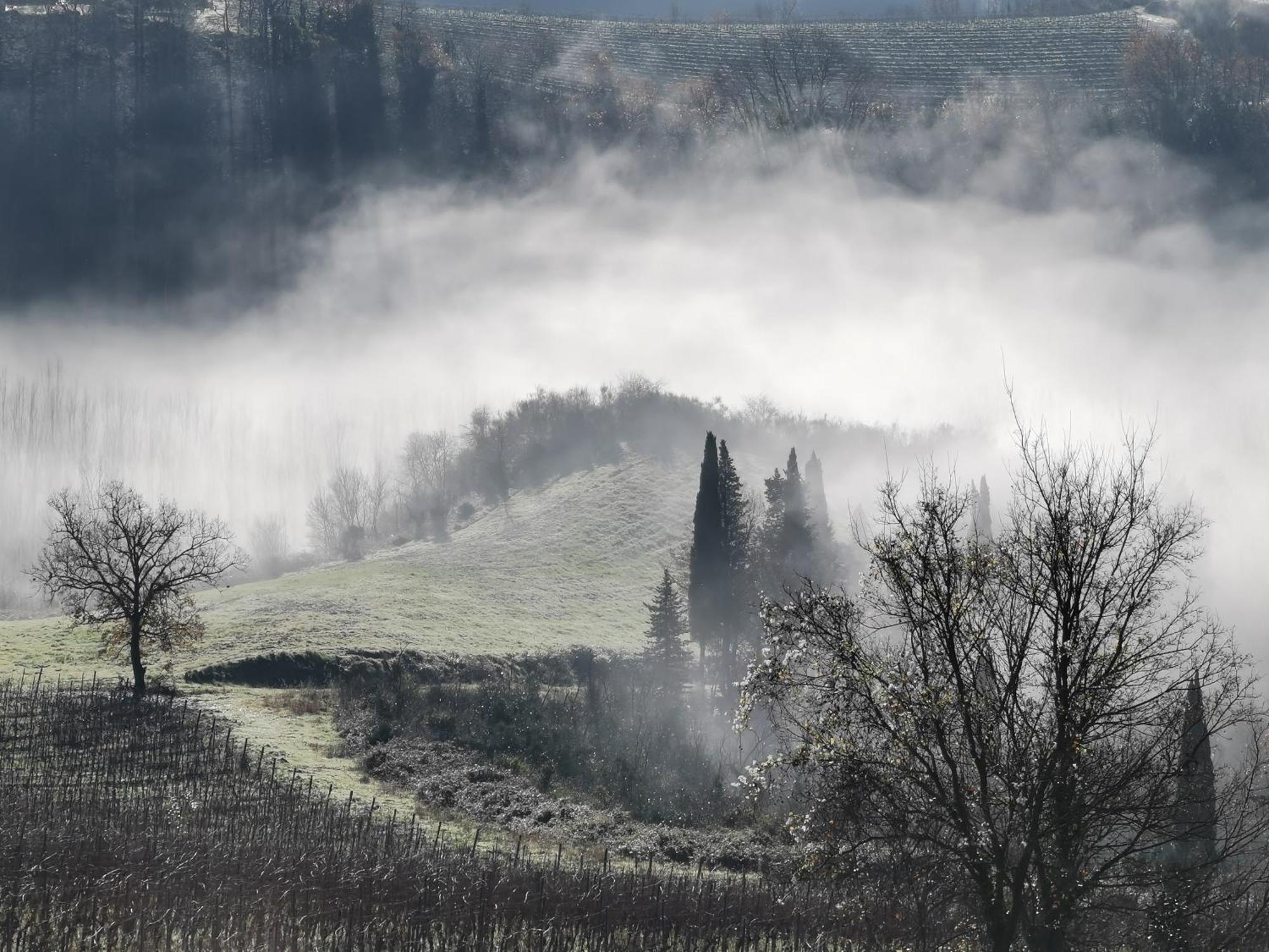 Agriturismo Bio Fattoria Bacio Certaldo Eksteriør billede