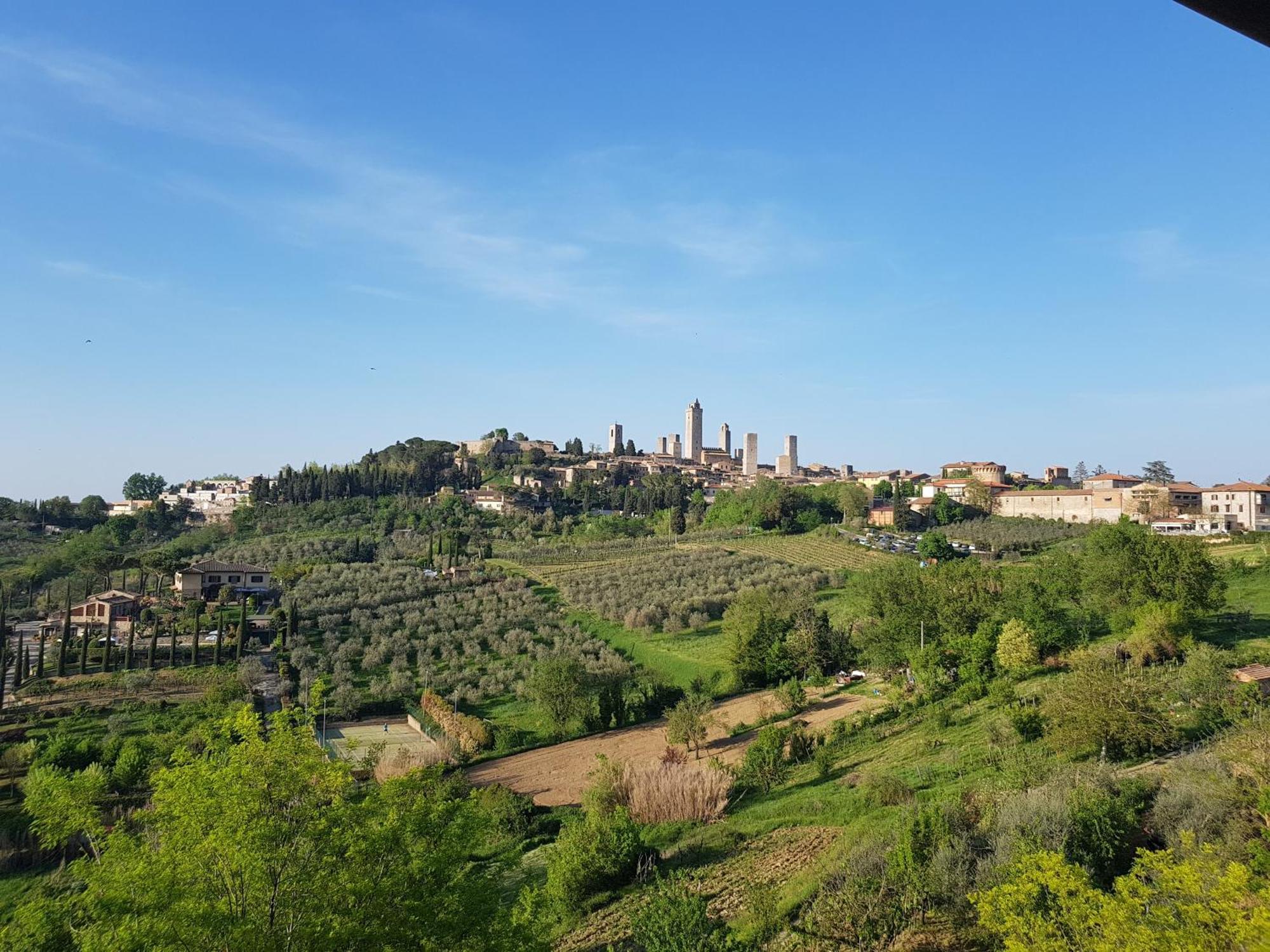 Agriturismo Bio Fattoria Bacio Certaldo Eksteriør billede